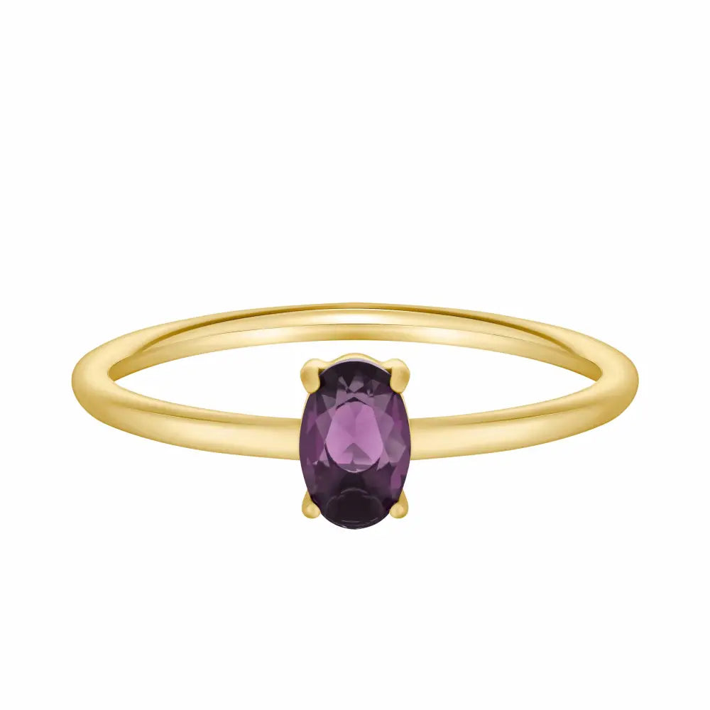 Always Birthstone Ring - Gold / 6 / February - Rings
