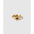 Angelo Gold Ring with Tiger’s Eye - Tiger’s Eye / 6 - Rings