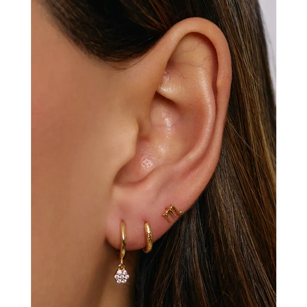 Annabelle Gold Hoop Earrings - Earrings