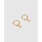 Annabelle Gold Hoop Earrings - Earrings