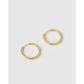 Arabella Hoop Earrings - Gold - Earrings