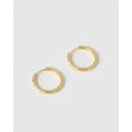 Arabella Hoop Earrings - Gold - Earrings