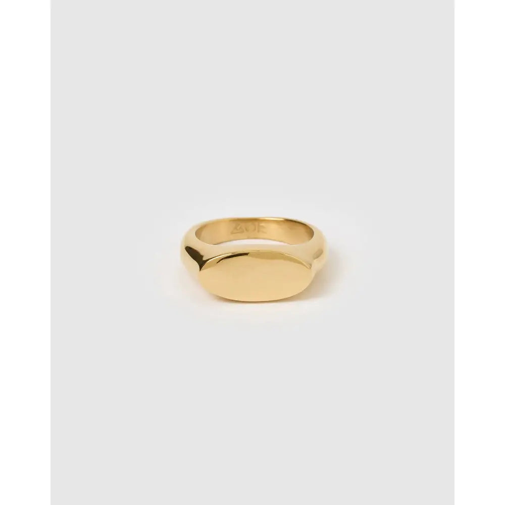 Aster Gold Signet Ring - Gold / 4 - Rings