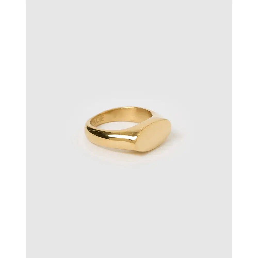 Aster Gold Signet Ring - Rings