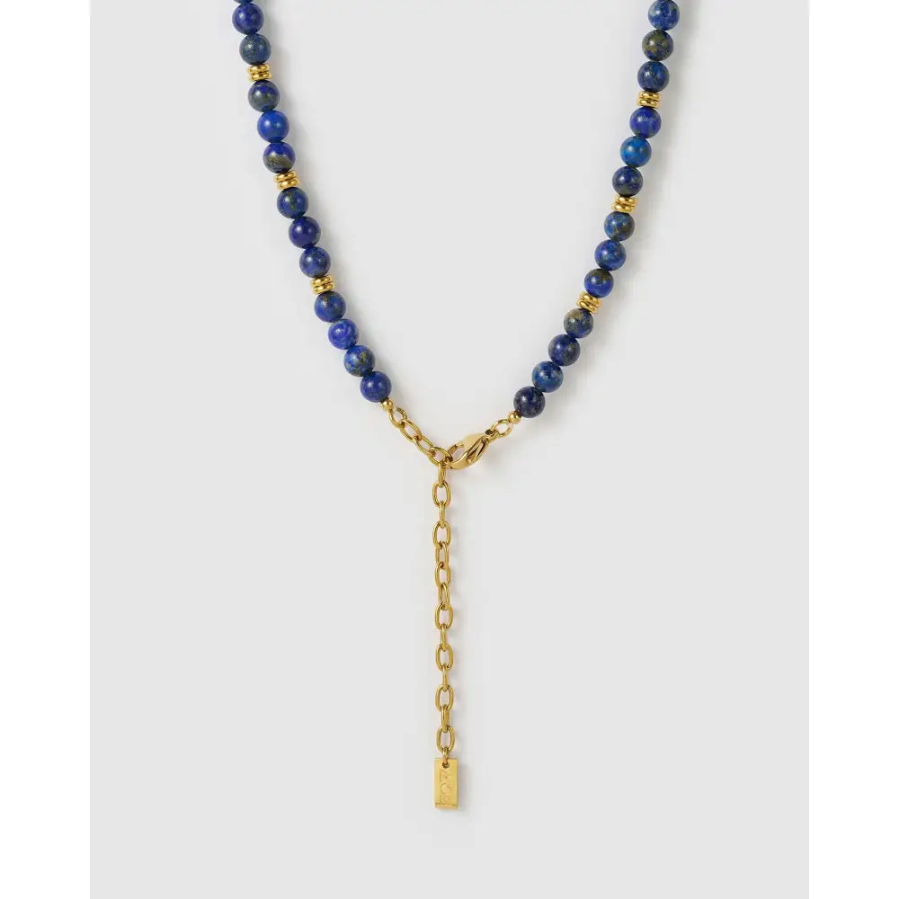 Azure Lapis Lazuli Gold Charm Necklace - Necklaces