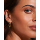 Boaz Gold Earrings - Earrings
