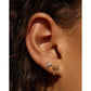 Cassia Gold Stud Earrings - Earrings