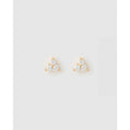 Cassia Gold Stud Earrings - Earrings