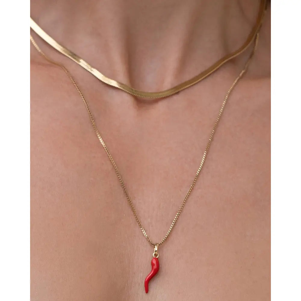 Cornicello Silver Charm Necklace - Necklaces