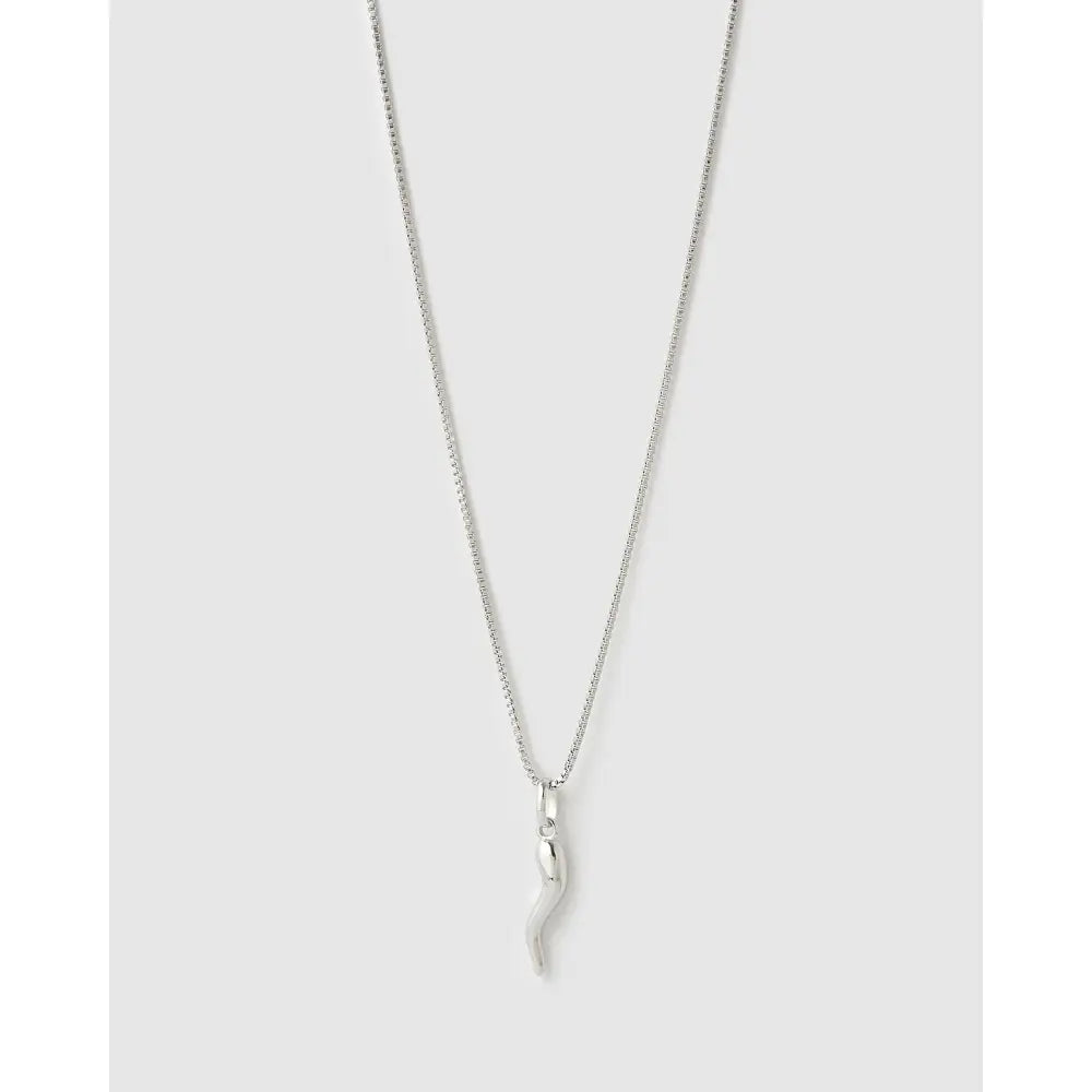 Cornicello Silver Charm Necklace - Silver - Necklaces