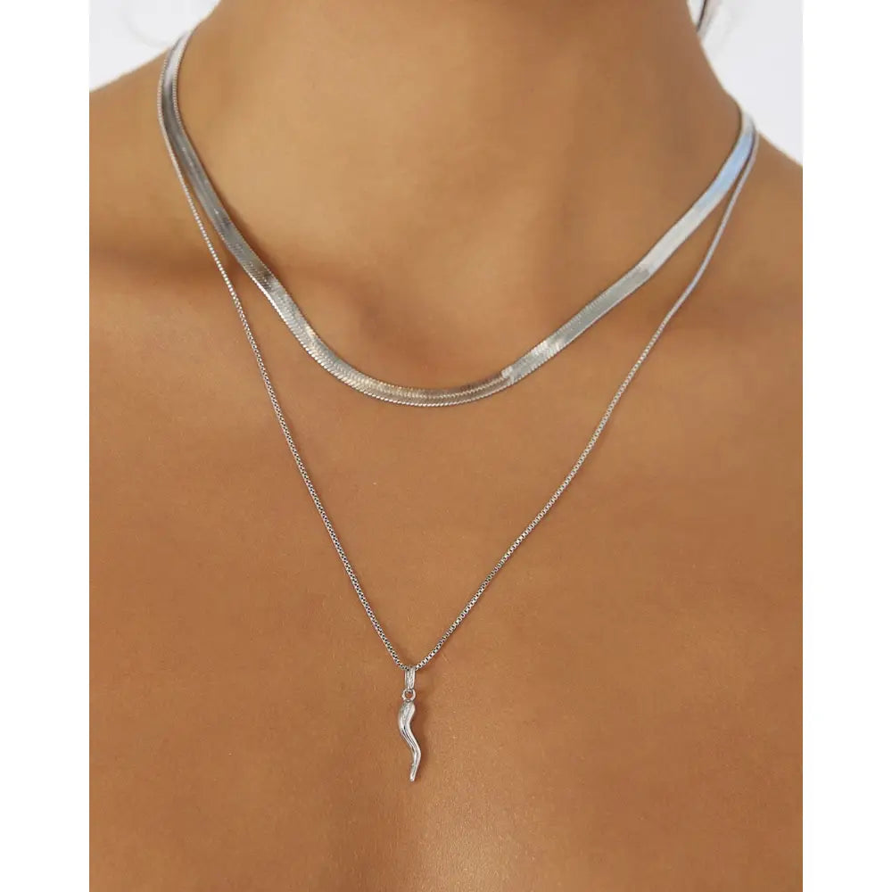 Cornicello Silver Charm Necklace - Necklaces