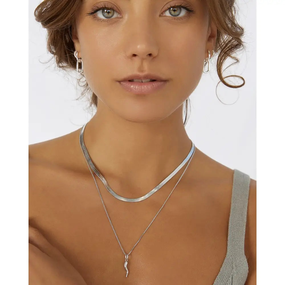 Cornicello Silver Charm Necklace - Necklaces
