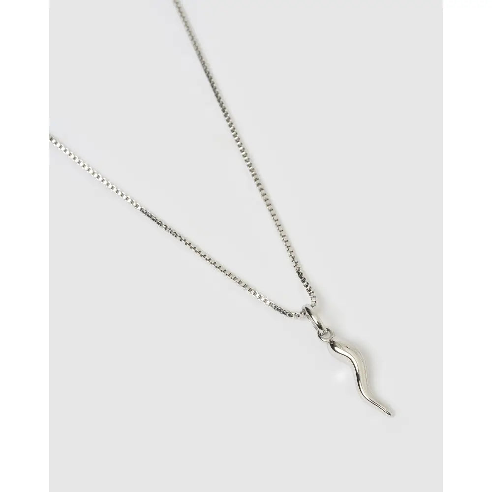 Cornicello Silver Charm Necklace - Necklaces