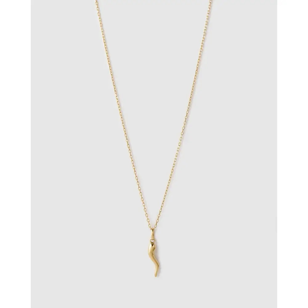 Cornicello Silver Charm Necklace - Gold - Necklaces