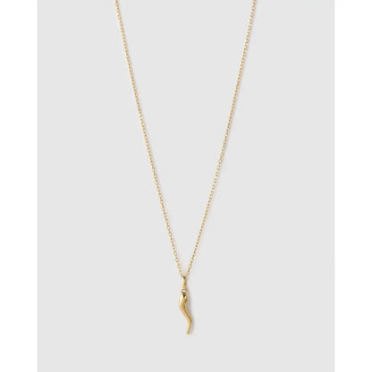 Cornicello Silver Charm Necklace - Gold - Necklaces