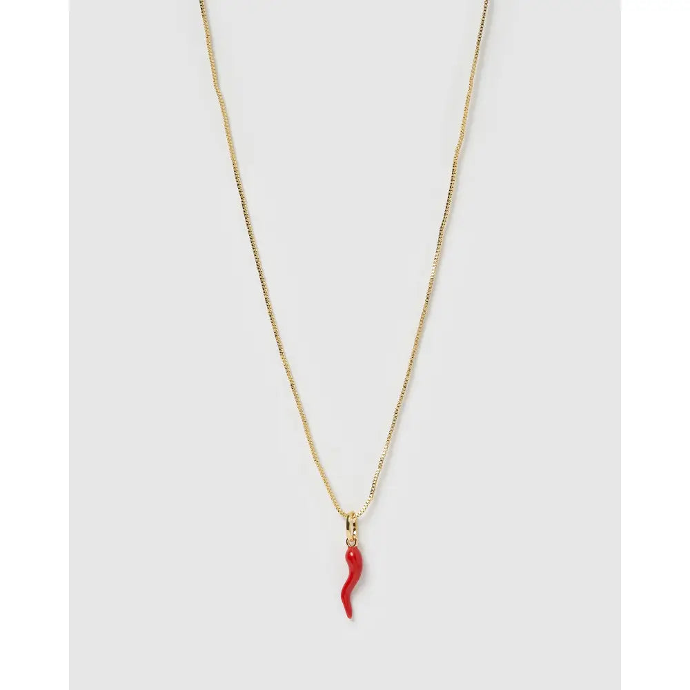 Cornicello Silver Charm Necklace - Red - Necklaces