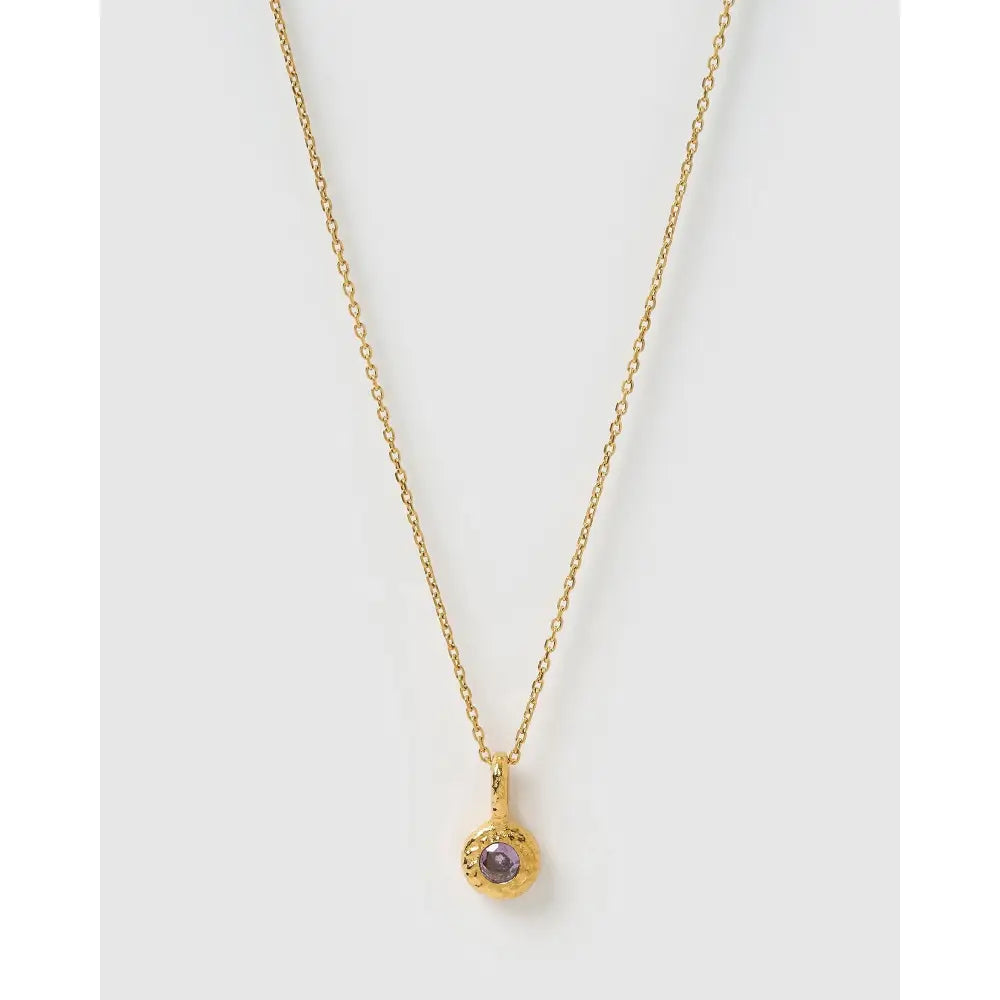 Crushed Birthstone Gold Necklace - February - Amethyst - Necklaces