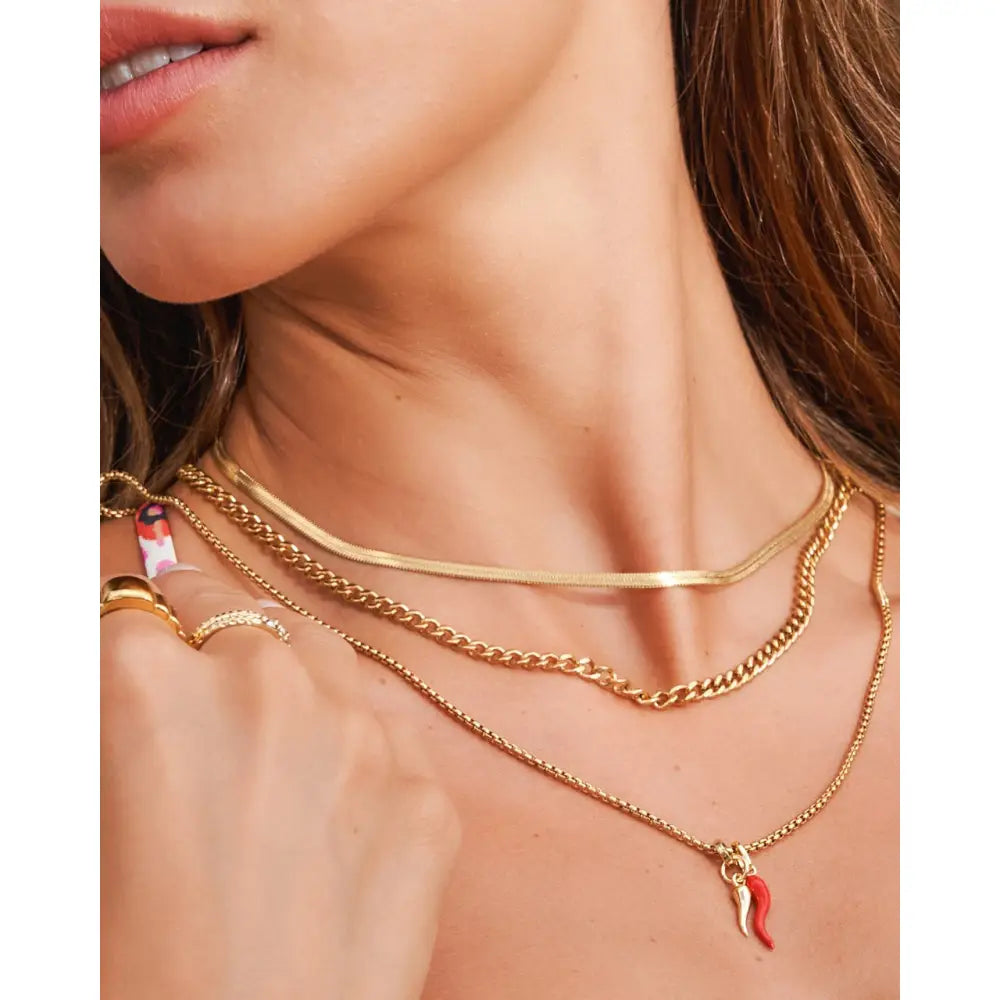 Double Cornicello Charm Gold Necklace - Hugo Chain - Necklaces