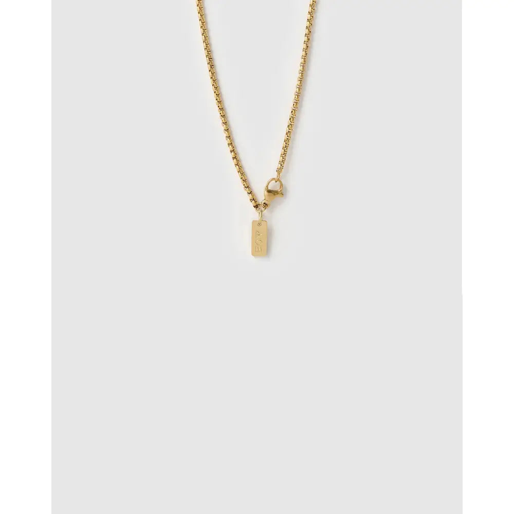 Double Cornicello Charm Gold Necklace - Hugo Chain - Necklaces