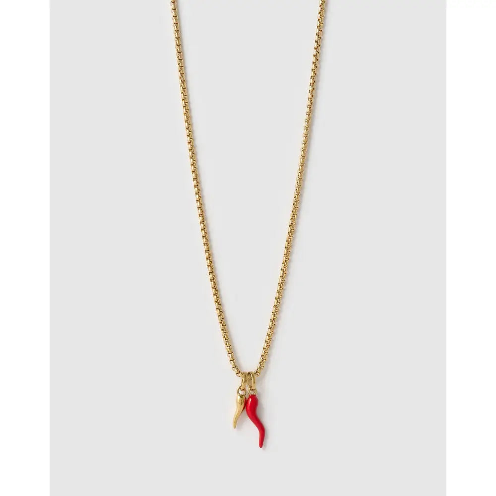 Double Cornicello Charm Gold Necklace - Hugo Chain - Necklaces
