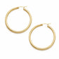 Exude Hoop Earrings - Gold / Small - Earrings