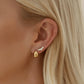 Fan Stud Earrings - Earrings