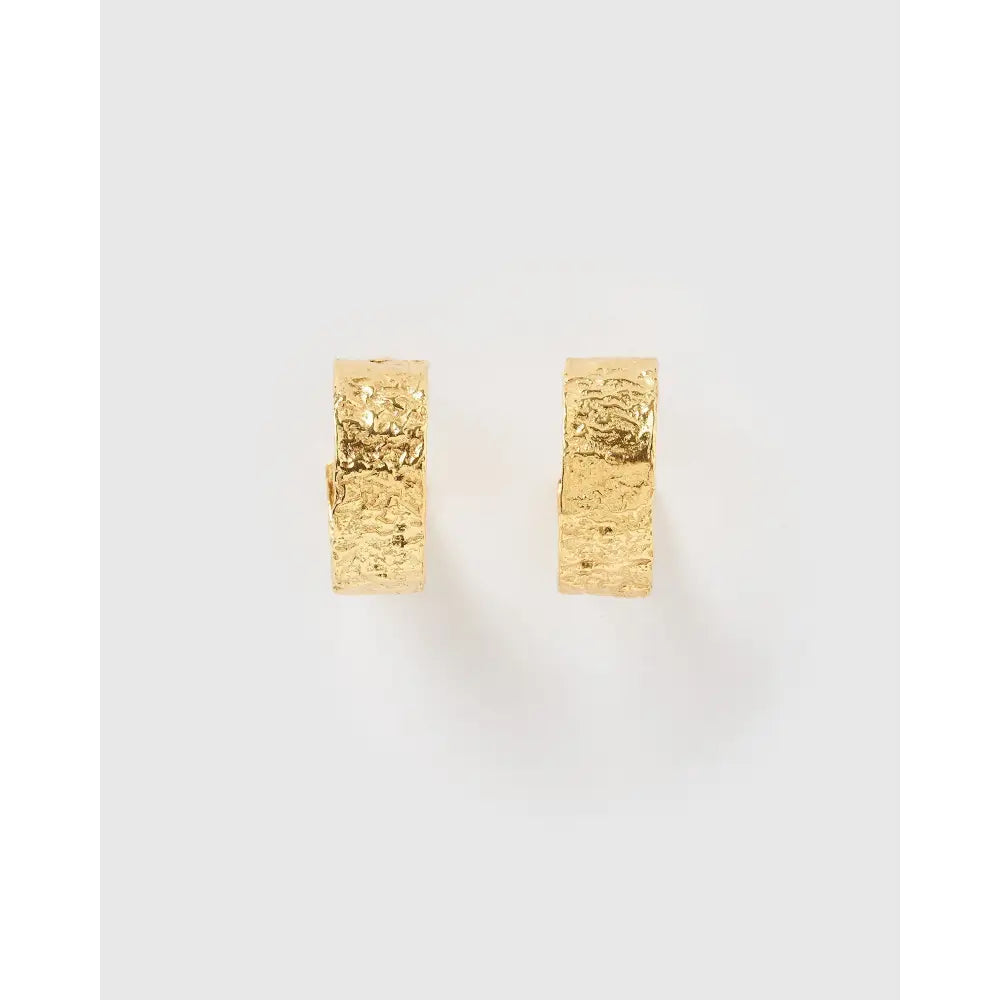 Gabriella Gold Hoop Earrings - Earrings
