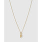 Initial Charm Necklace - F / Gold - Necklaces