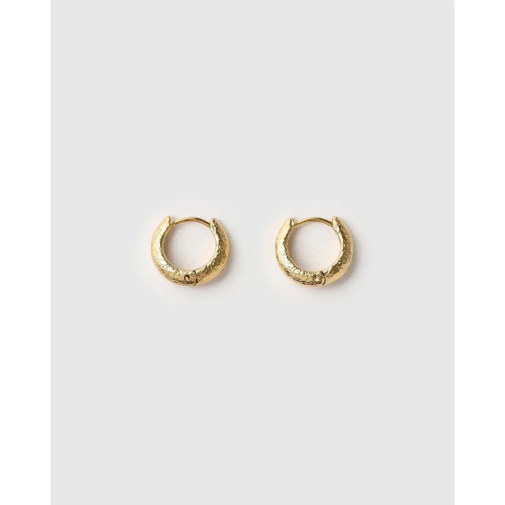 Jax Gold Earrings - Earrings