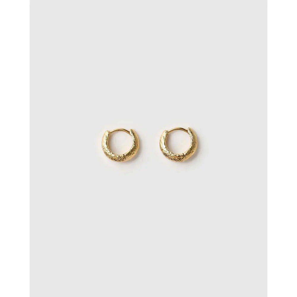 Jax Gold Earrings - Earrings