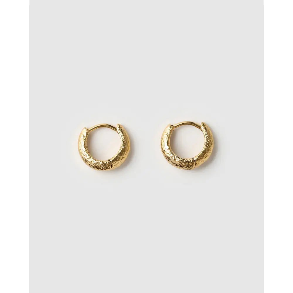 Jax Gold Earrings - Earrings