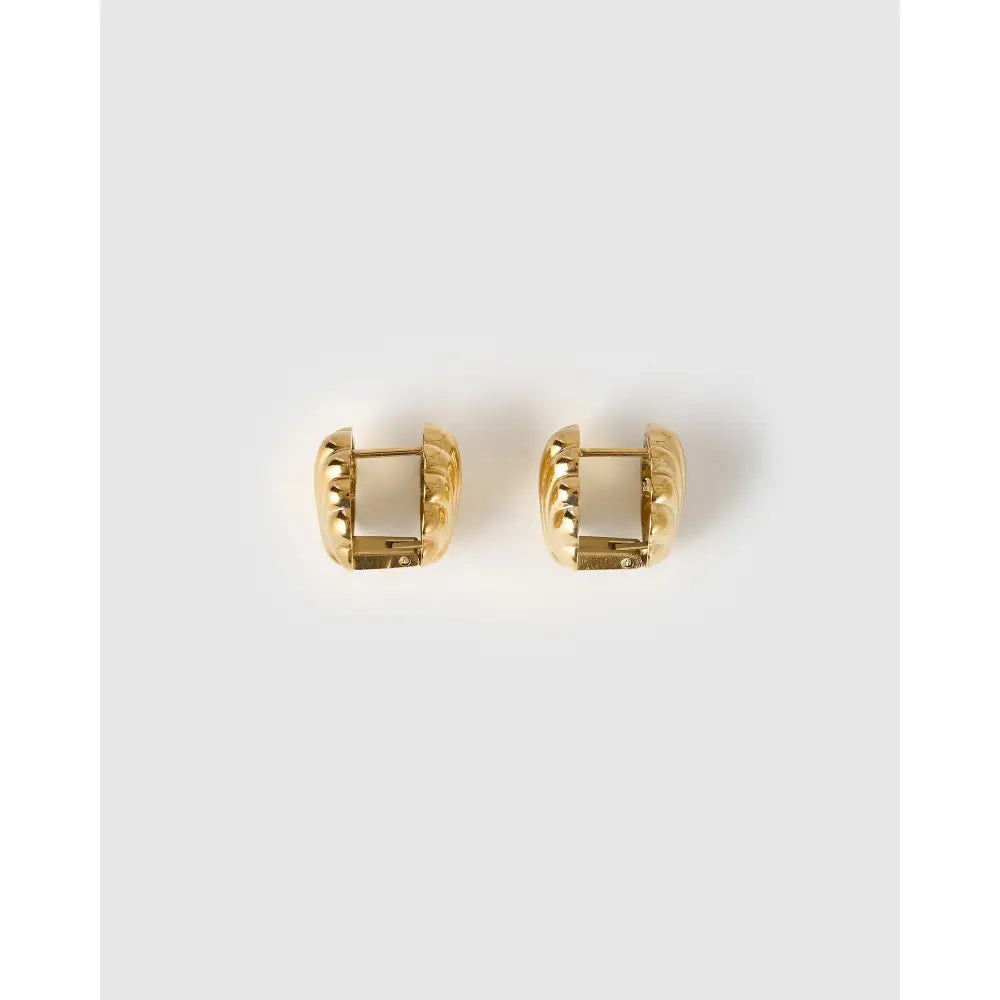 Kaia Gold Earrings - Earrings