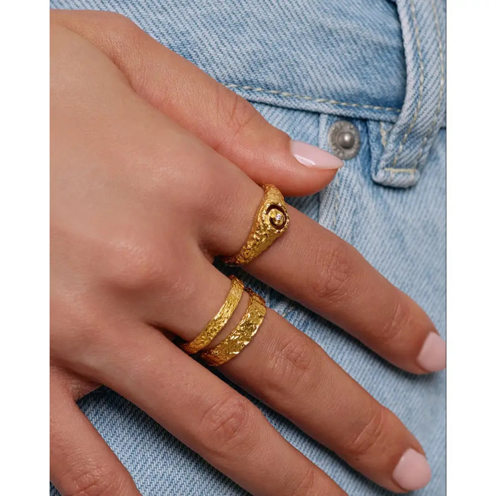 Levi Gold Signet Ring - Rings