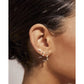Liat Earrings - Earrings