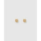 Lucky Horseshoe Gold Stud Earrings - Earrings
