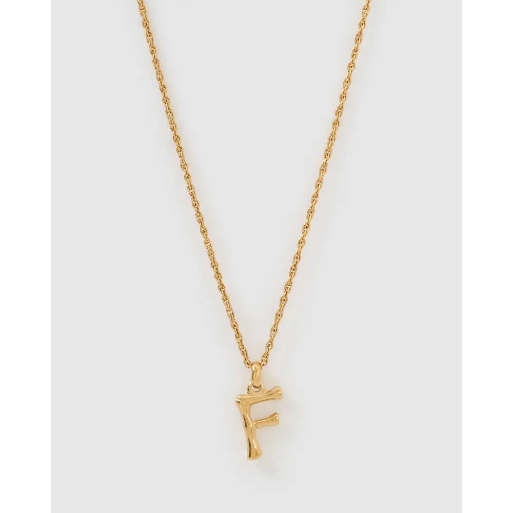 Luxe Small Gold Letter Necklace - Gold / F - Necklaces