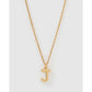 Luxe Small Gold Letter Necklace - Gold / J - Necklaces