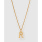 Luxe Small Gold Letter Necklace - Gold / R - Necklaces
