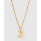 Luxe Small Gold Letter Necklace - Gold / Z - Necklaces