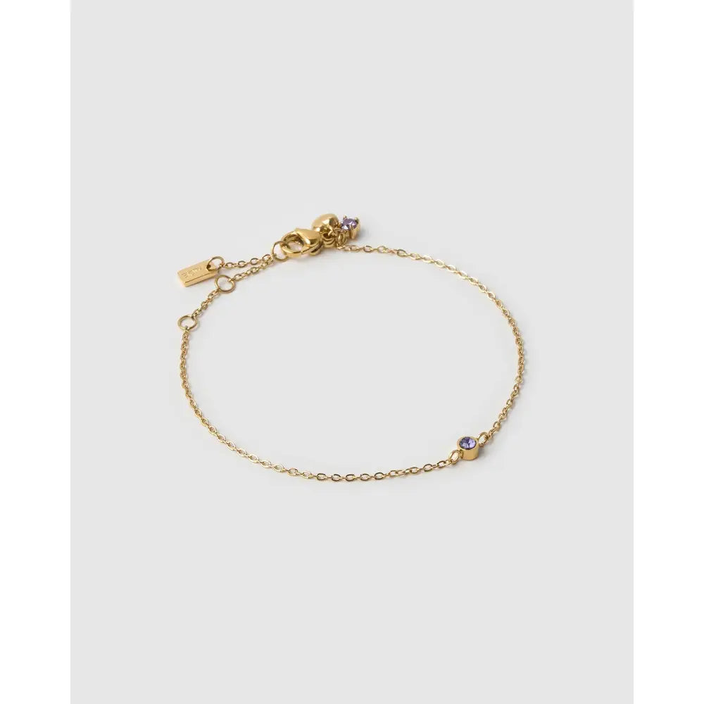 Mini Birthstone Gold Bracelet - February - Amethyst - Bracelets