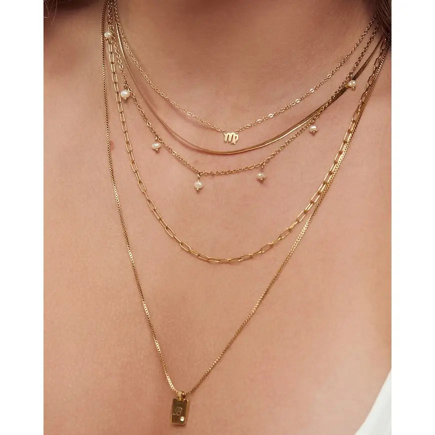 Mini Zodiac Necklace - Necklaces