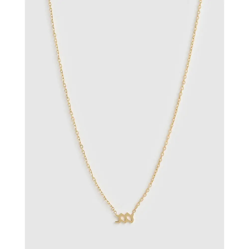 Mini Zodiac Necklace - Gold / Aquarius - Necklaces