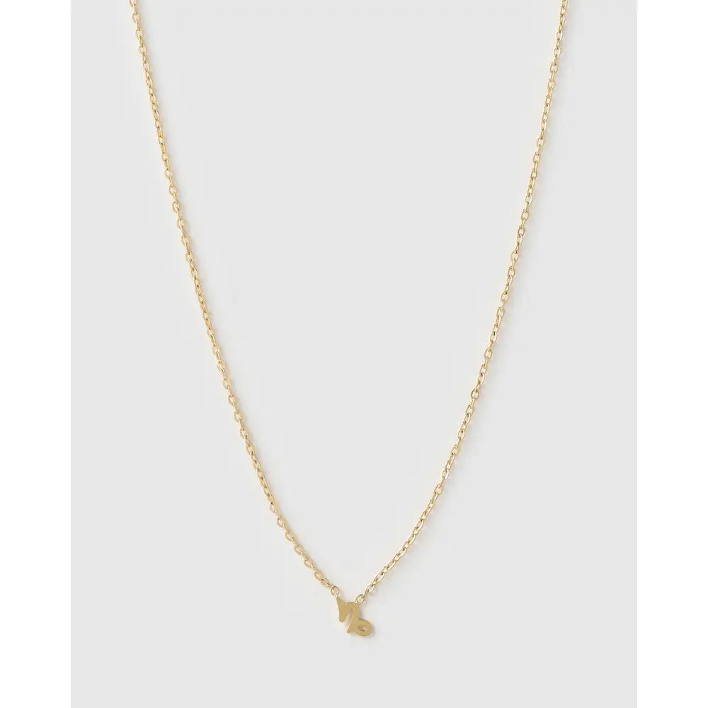 Mini Zodiac Necklace - Gold / Capricorn - Necklaces