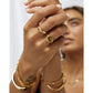 Miro Gold Signet Ring - Rings