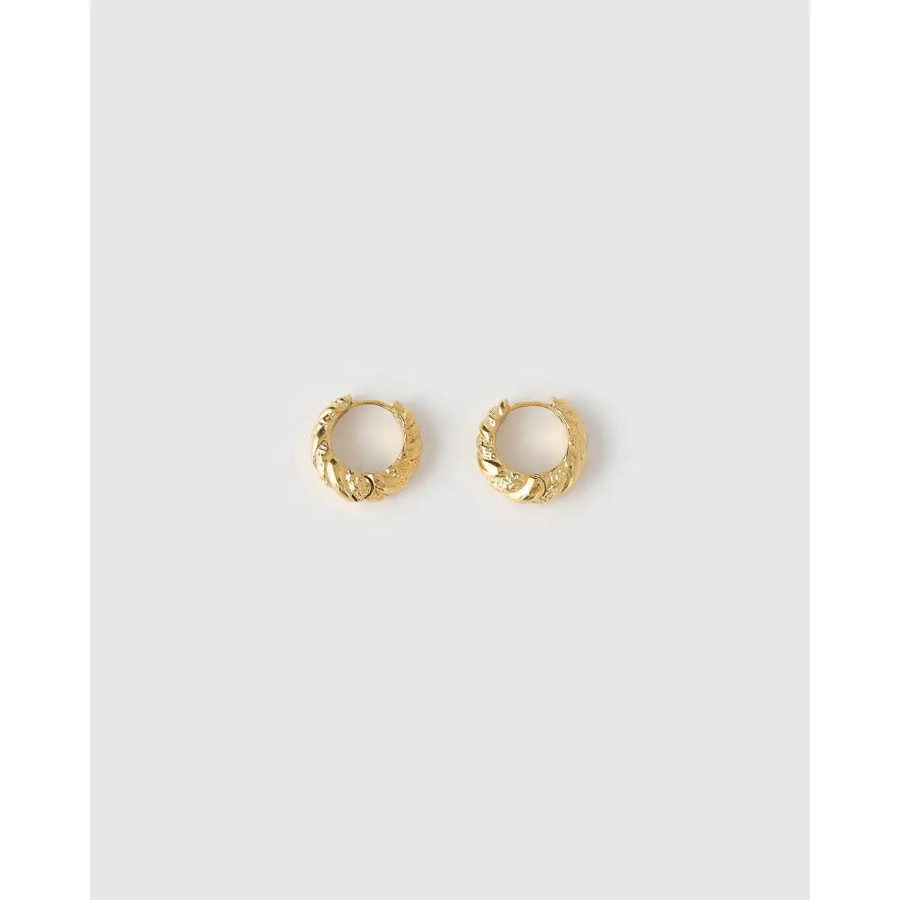 Ora Gold Earrings - Earrings
