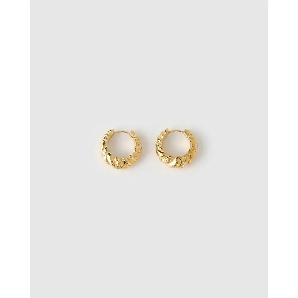 Ora Gold Earrings - Earrings