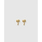 Palm Springs Gold Stud Earrings - Earrings