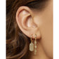 Paloma Huggie Earrings - Earrings