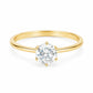Paris Ring - Gold / 5 - Rings