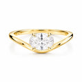 Renee Ring - Gold / 6 - Rings